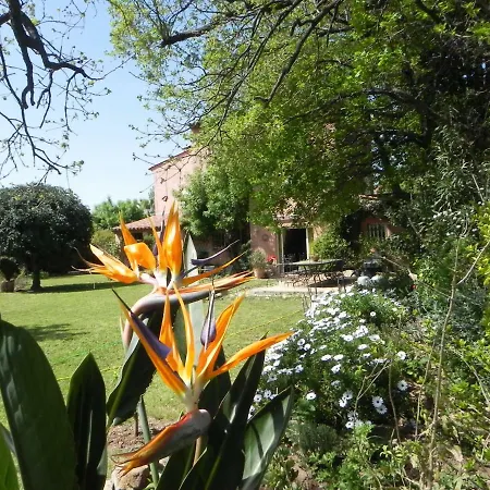 Bed & Breakfast Le Clos Des Vignes Raphael